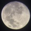 七夕の月を天体望遠鏡で撮ってみた…