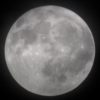 昨夜は満月を撮った。良い朧月だった…