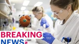 【Breaking News】Scientist admits we may NEVER find a vaccine for the killer coronavirus